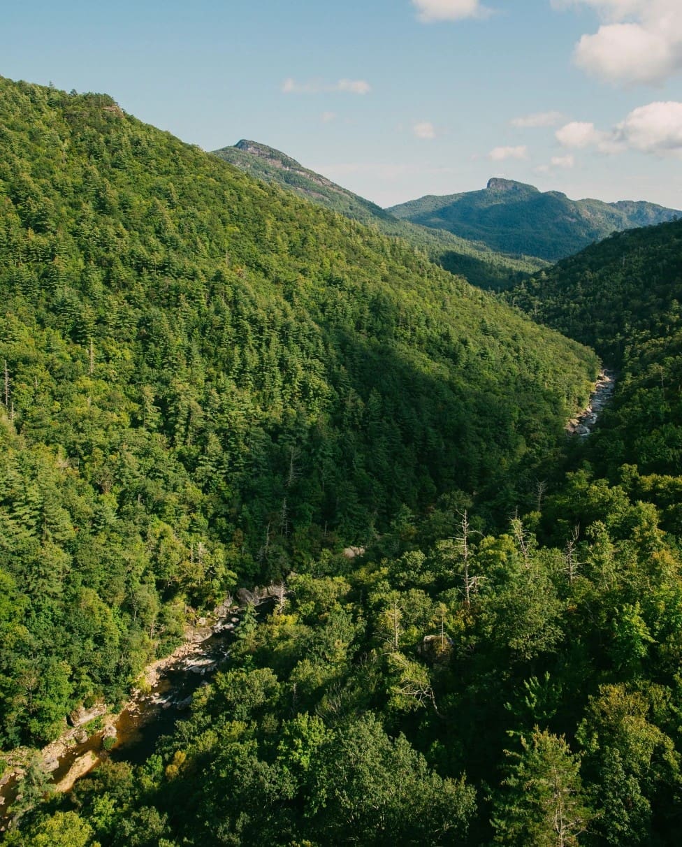 Family-Friendly Guide to the North Carolina Mountains